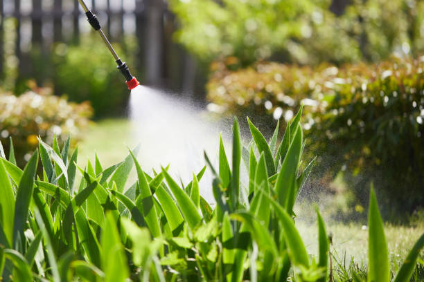 24/7 Emergency Mosquito Control experts in Lockport Heights, IL