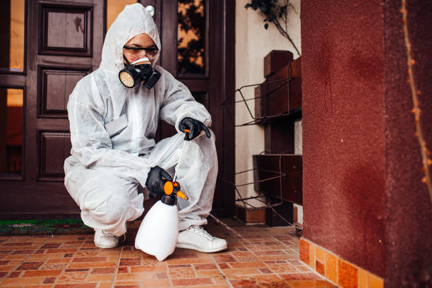 Reliable Mosquito Control contractor in Lockport Heights, IL by Show Me Pest Control
